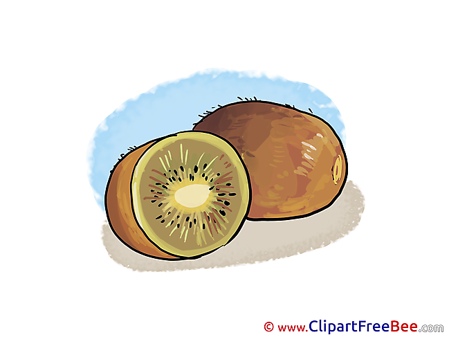 Kiwi Pics download Illustration