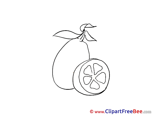 Lemon Clip Art download for free