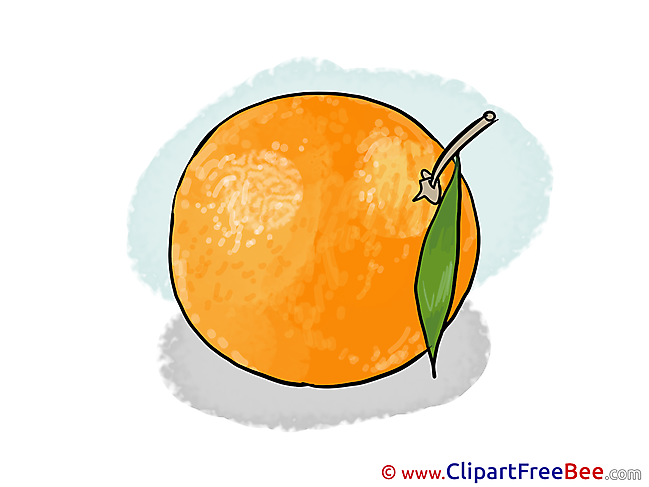 Orange Pics free download Image