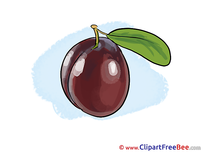 Plum Clip Art download for free