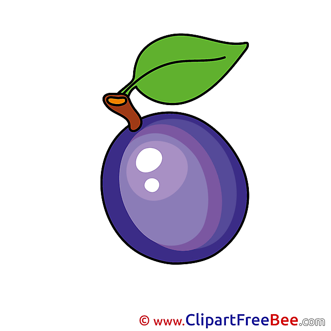 Plum Cliparts printable for free
