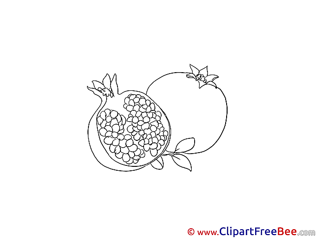 Pomegranate Pics printable Cliparts