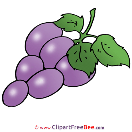 Ripe Grapes Pics printable Cliparts