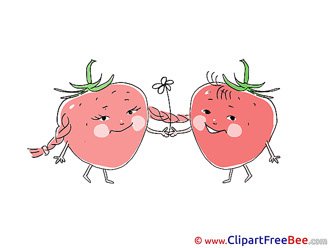 Strawberries Pics download Illustration