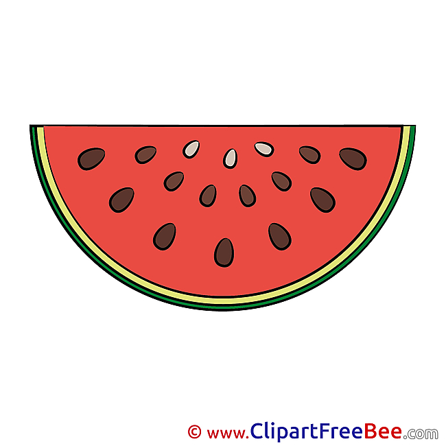 Watermelon Pics download Illustration