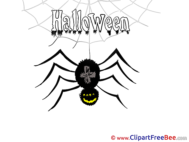 Black Widow Spider Cliparts Halloween for free