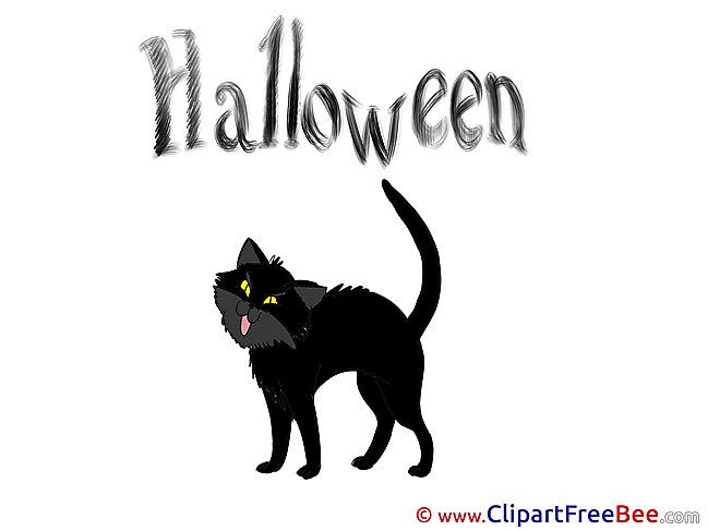 Cat Halloween Illustrations for free