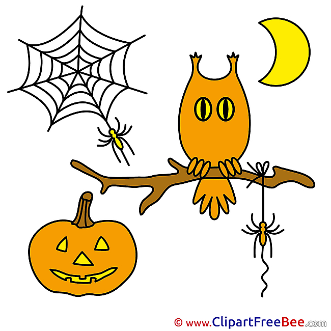 Holiday Owl Web Spider Moon Pics Halloween Illustration