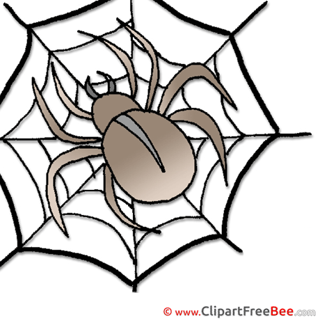 Web Spider Pics Halloween free Cliparts