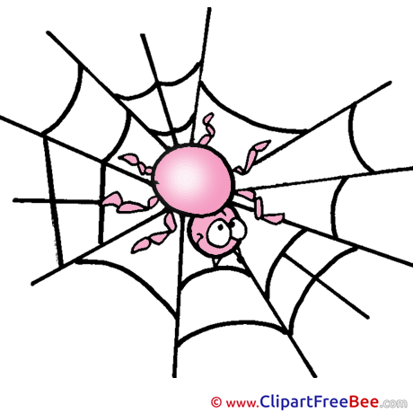 Web Spider Pics Halloween free Image