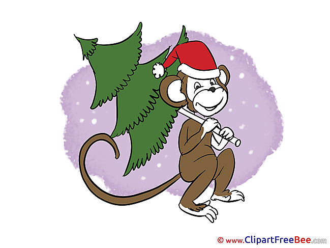 Fir Monkey Pics New Year free Cliparts