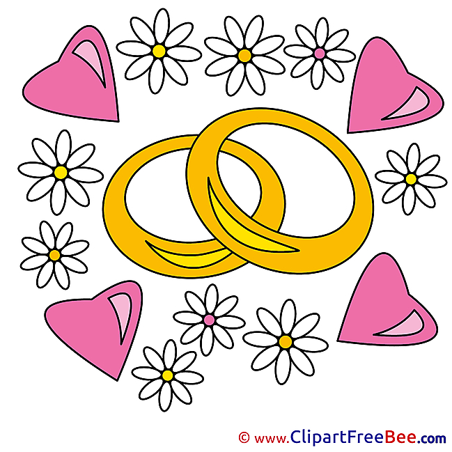 Rings Chamomiles Clip Art download Hearts