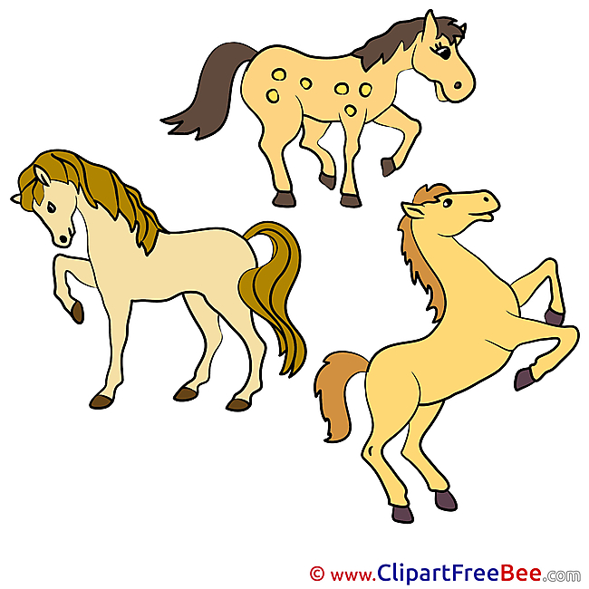 Animals free Illustration Horse