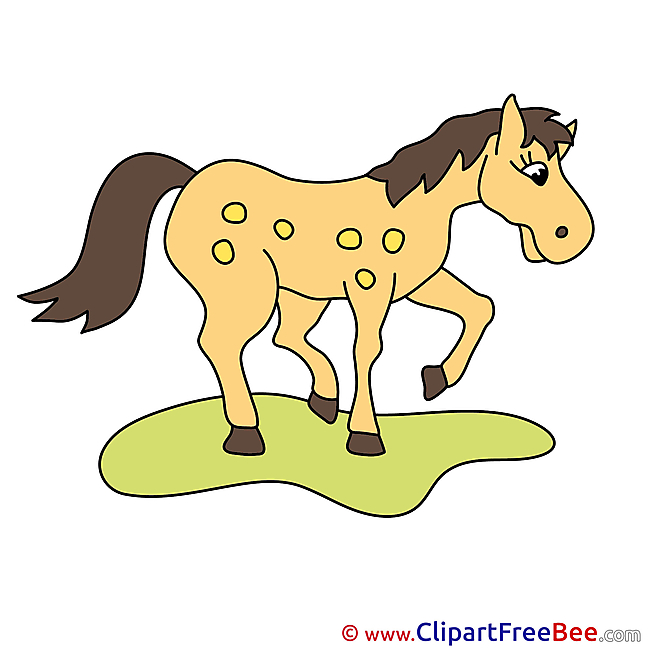 Beautiful Clipart Horse free Images