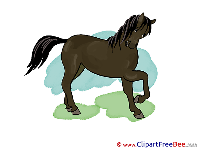 Clipart Horse free Images