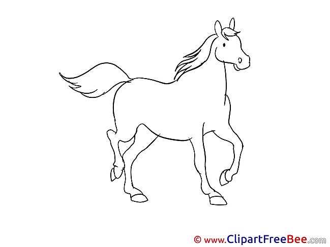 Coloring Horse Illustrations for free