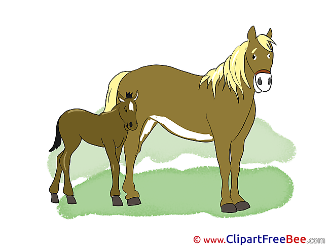 Foal download Clipart Horse Cliparts