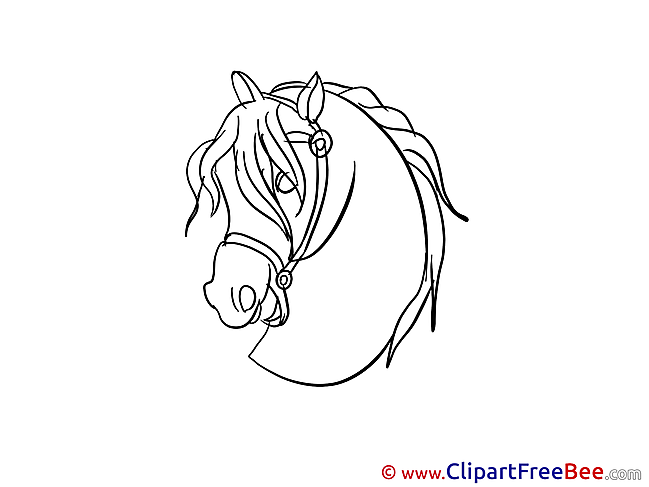 Head printable Illustrations Horse