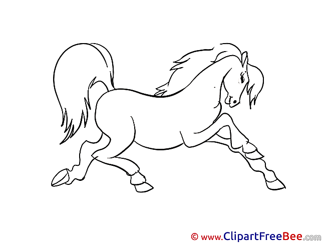 Horse Coloring Illustrations for free