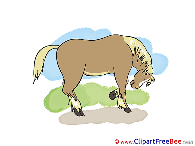 Pics Horse free Image