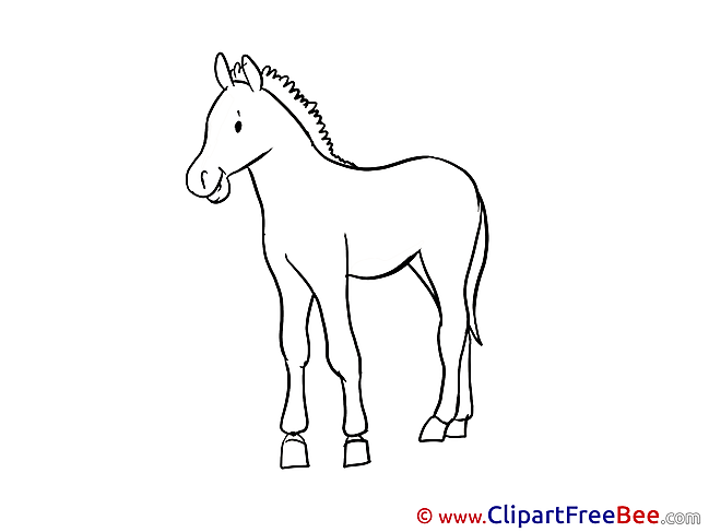 Printable Coloring Horse Images