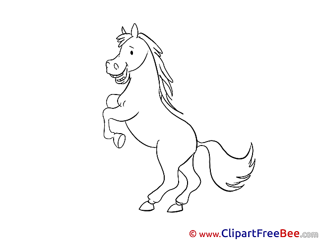 Stallion Horse download Illustration