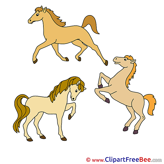 Three Horses Illustrations for free