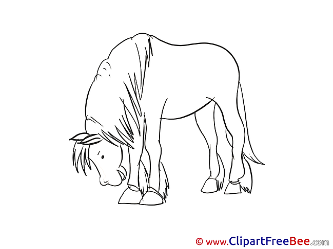 Tired Pics Horse Illustration