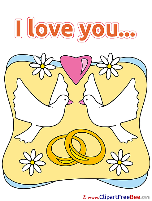 Chamomiles Pigeons Rings I Love You Illustrations for free