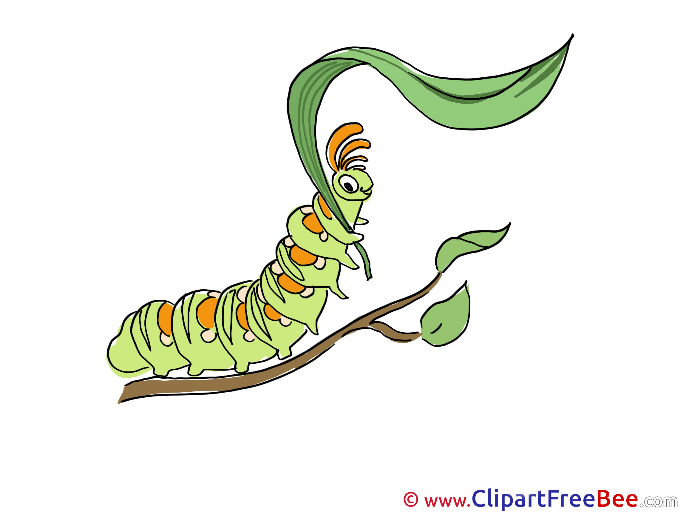 Branch Leaf Caterpillar printable Illustrations for free