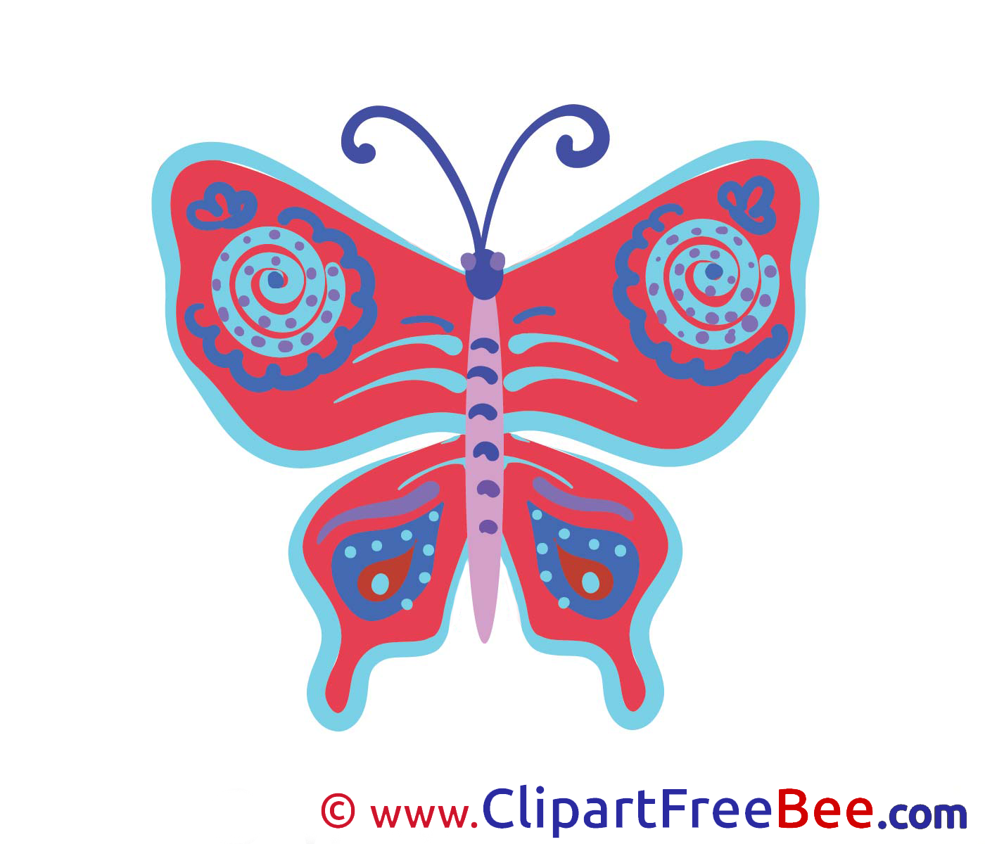 Butterfly Pics download Illustration Butterfly Pics download Illustration