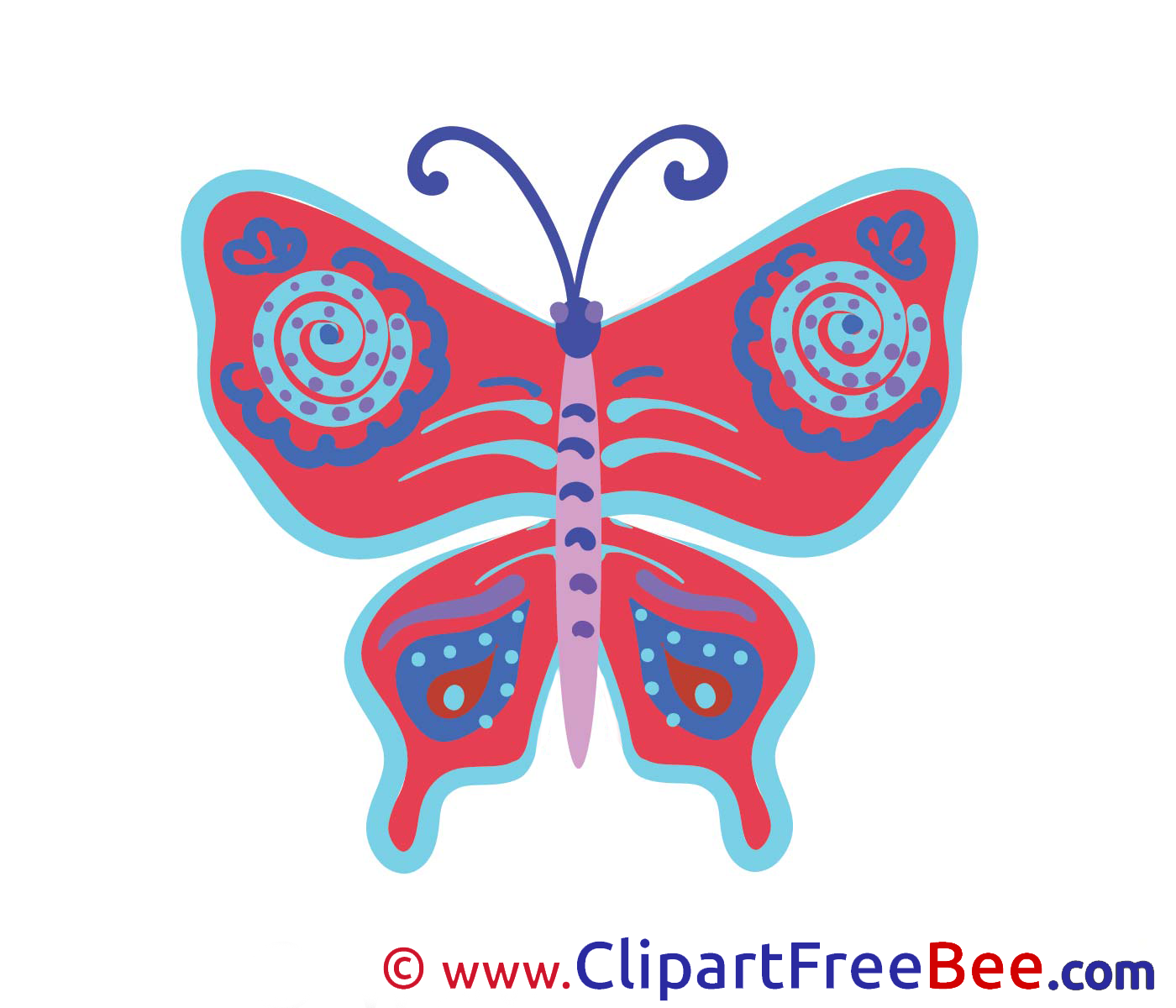 Butterfly Pics download Illustration