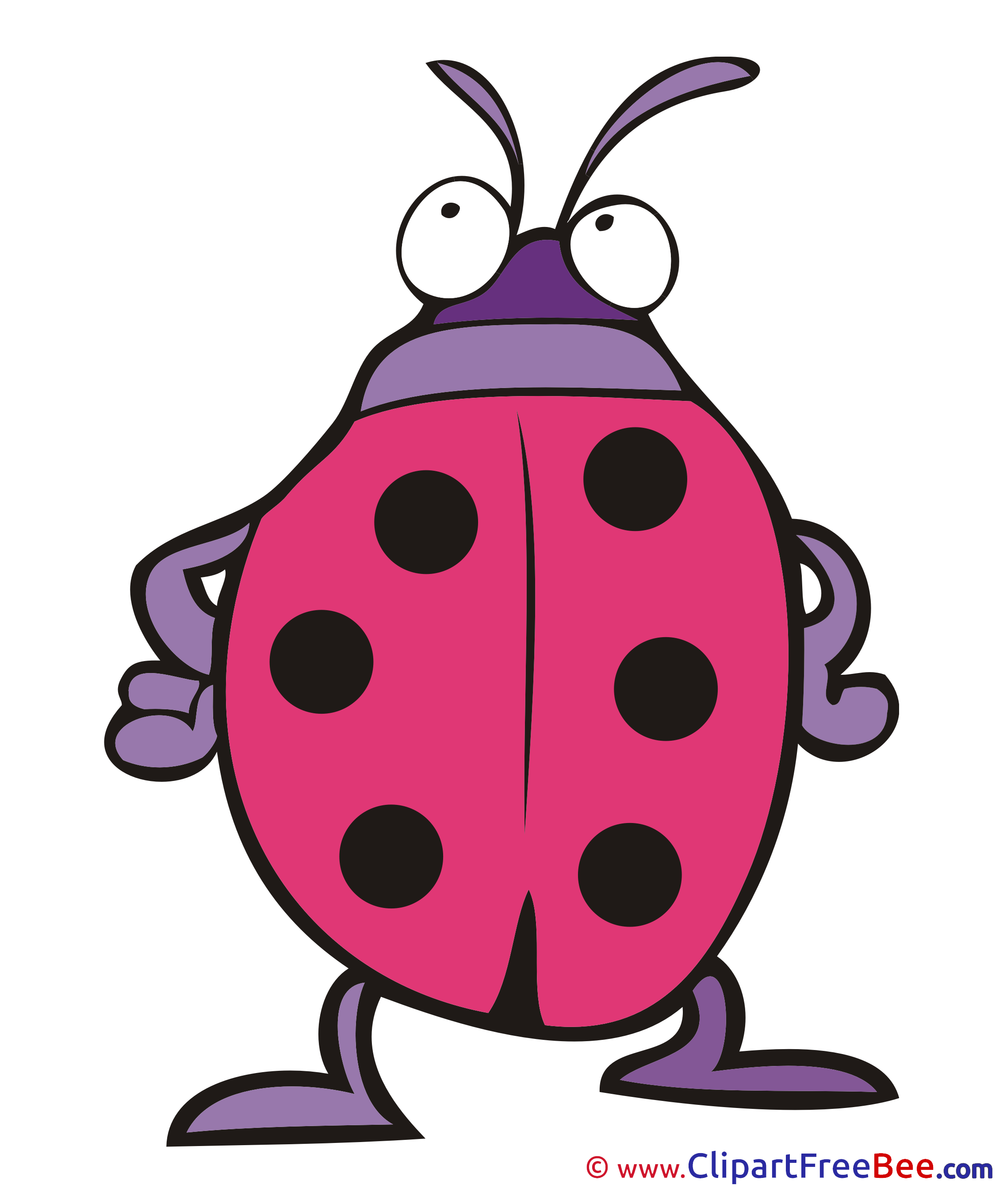 Ladybug Pics free download Image