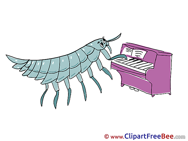 Bug plays Piano free Cliparts Kindergarten