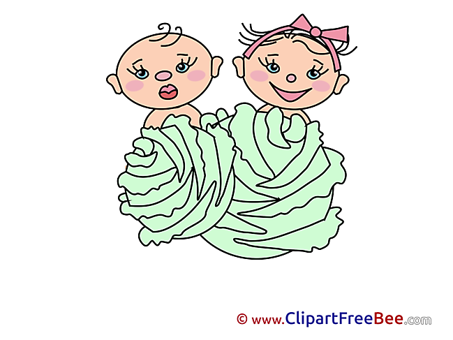 Cabbage Kids Clipart Kindergarten Illustrations