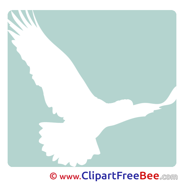 Eagle Bird Pictogrammes Illustrations for free