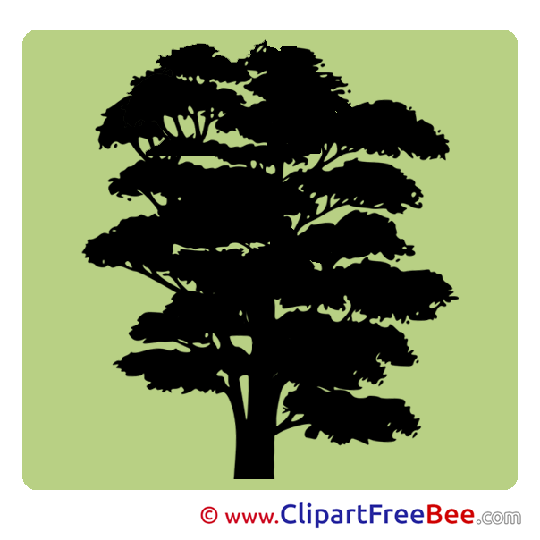 Tree Pics Pictogrammes Illustration