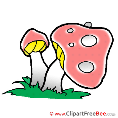 Amanita Mishrooms Images download free Cliparts