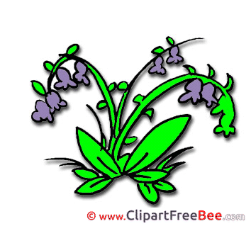 Bluebell Pics free Illustration