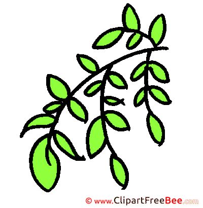 Branch Leaves Cliparts printable for free