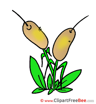 Cane Pics free download Image Cane Pics free download Image