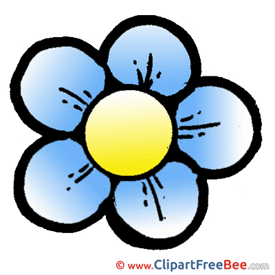 Chamomile Clipart free Illustrations