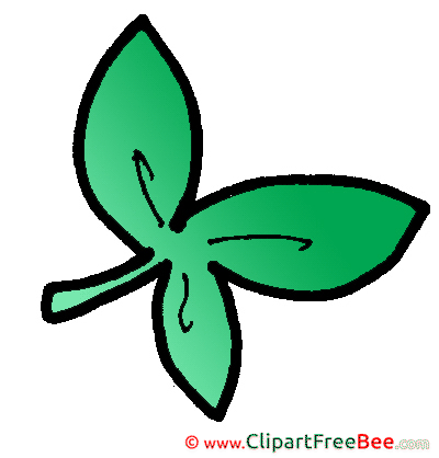 Clover Leaf printable Images for download