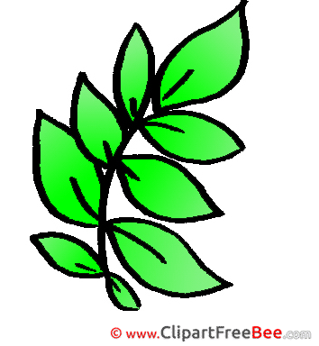 Drawing Leaves Pics free Illustration