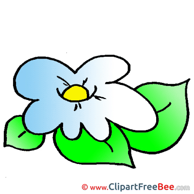 Flower download Clip Art for free Flower download Clip Art for free