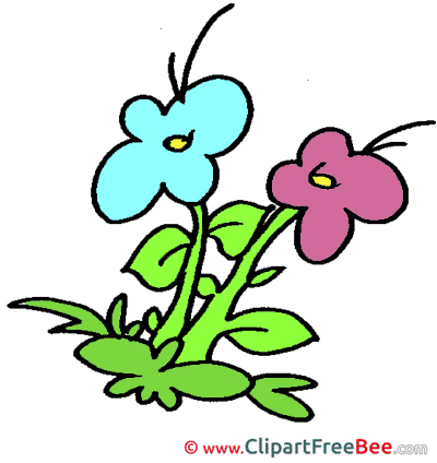 Flowers free Illustration download