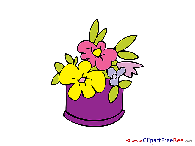 Flowers Pics download Illustration