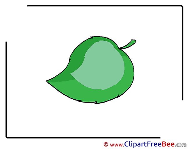 Leaf free Illustration download