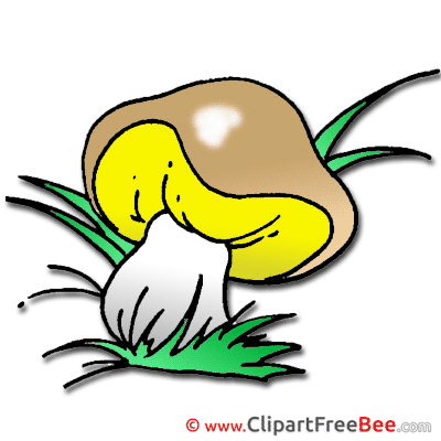 Mushroom Clip Art download for free