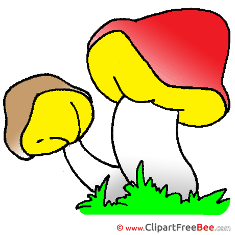 Mushrooms printable Illustrations for free